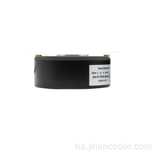 Smallaramin Encoder Encoder